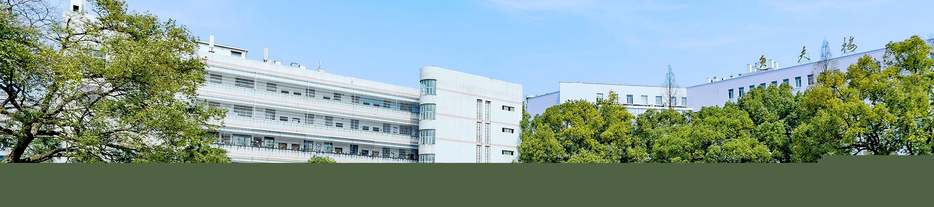 banner1.jpg